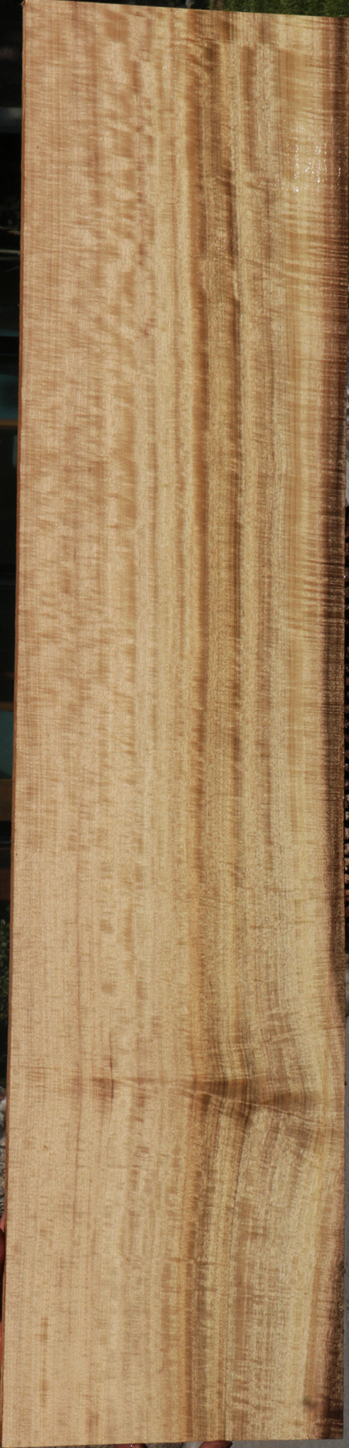 Exhibition Myrtle Lumber