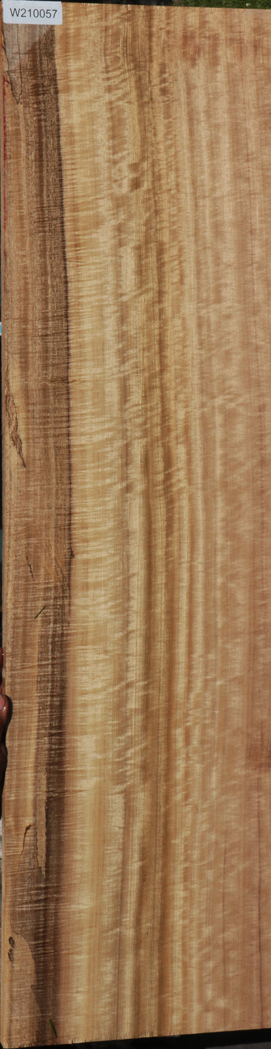 Exhibition Myrtle Lumber