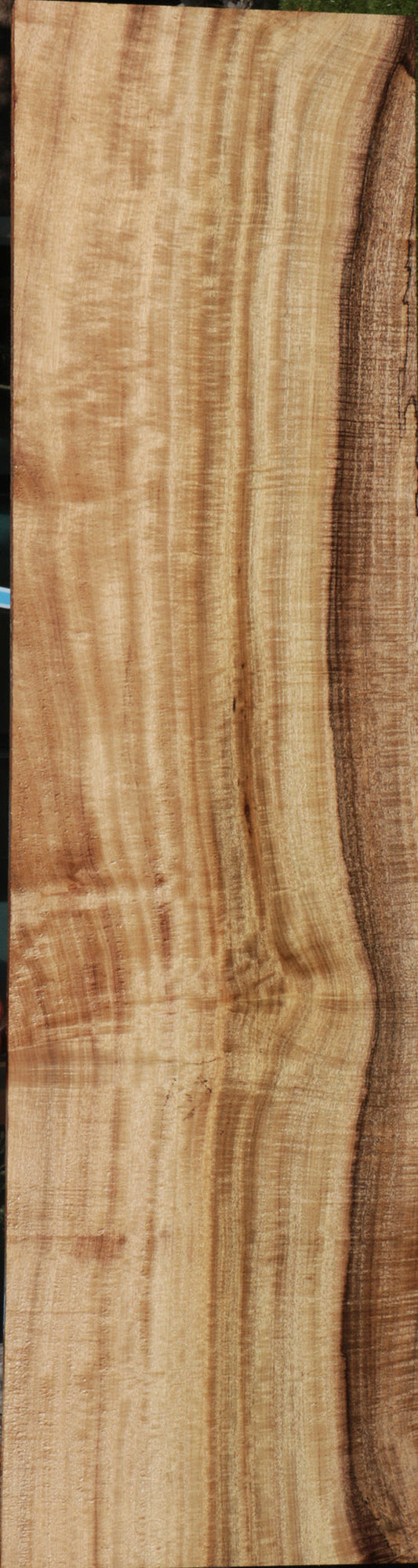 Exhibition Myrtle Lumber