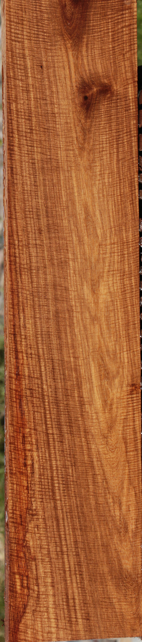 Exhibition Muninga Lumber