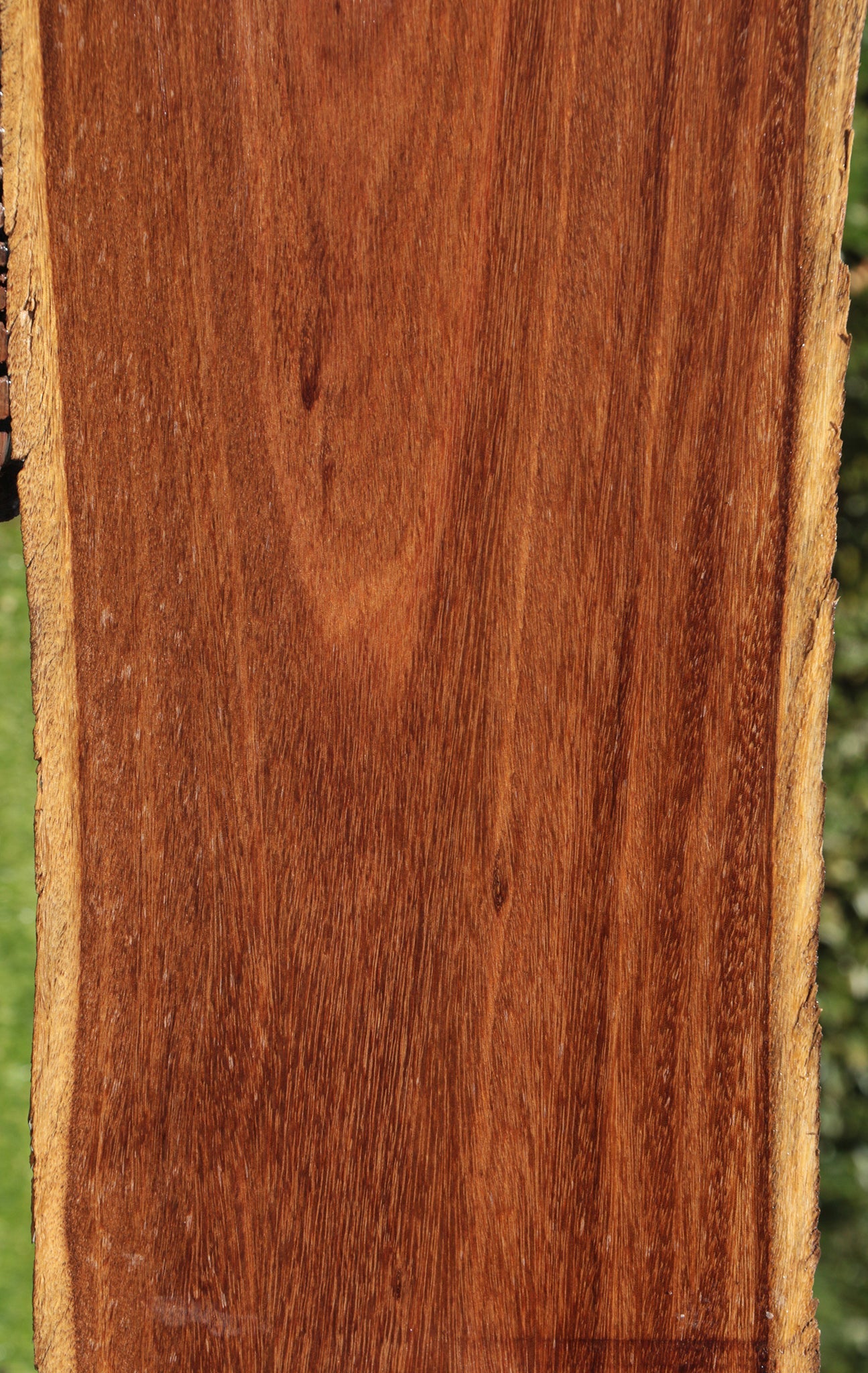 Sucupira Live Edge Lumber