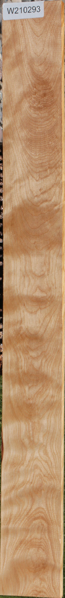 Curly Birch Lumber