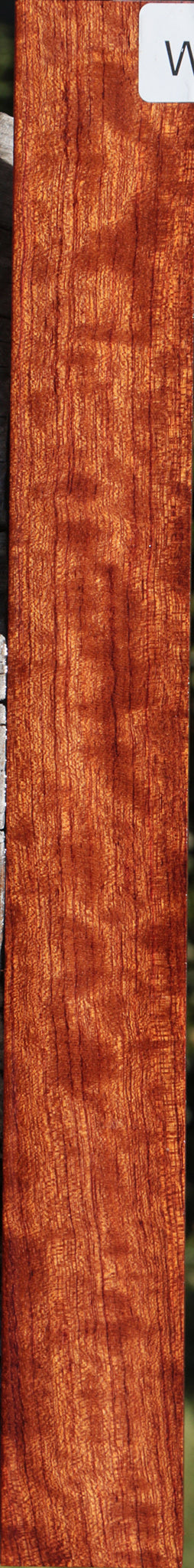 Extra Fancy Bubinga Turning Square