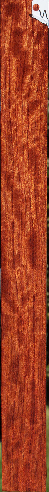 Extra Fancy Bubinga Turning Square