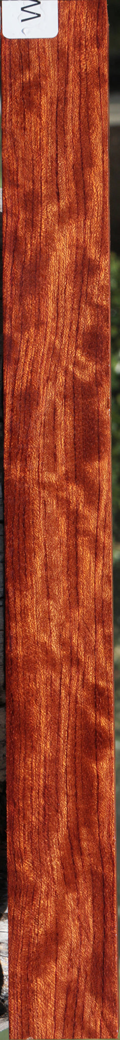 Extra Fancy Bubinga Turning Square