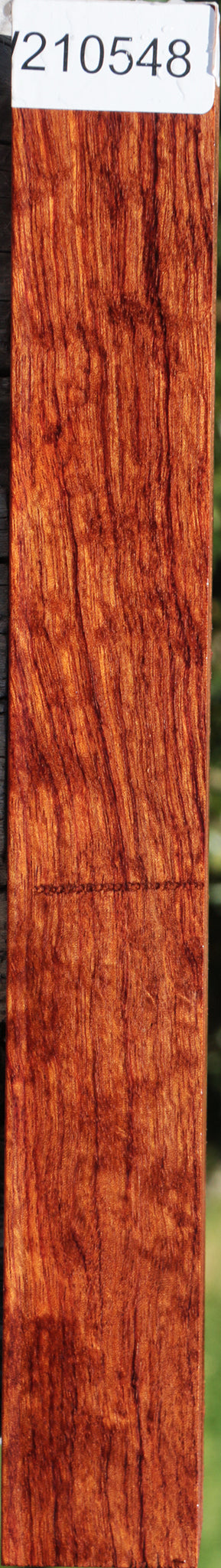 Extra Fancy Bubinga Turning Square