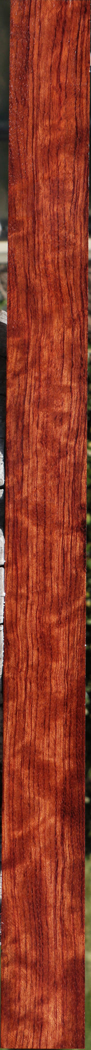 Extra Fancy Bubinga Turning Square