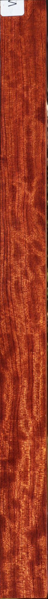 Extra Fancy Bubinga Turning Square