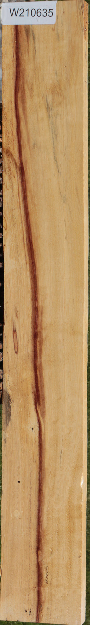 Extra Fancy Spalted Tamarind Lumber