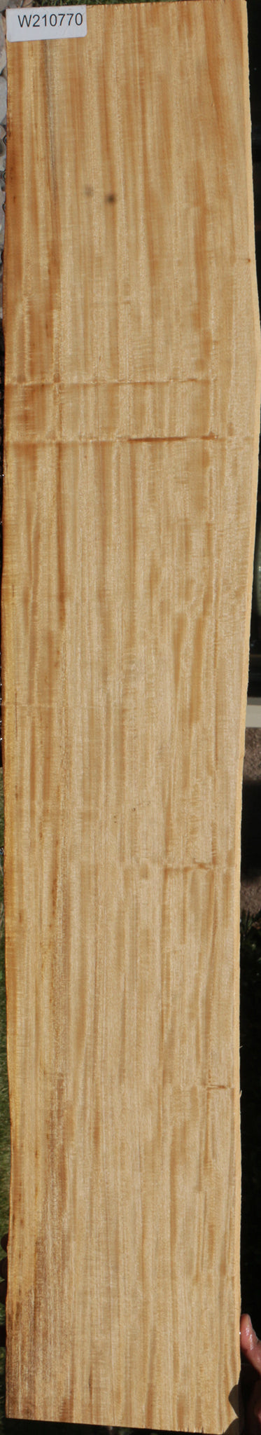Extra Fancy Primavera Live Edge Lumber