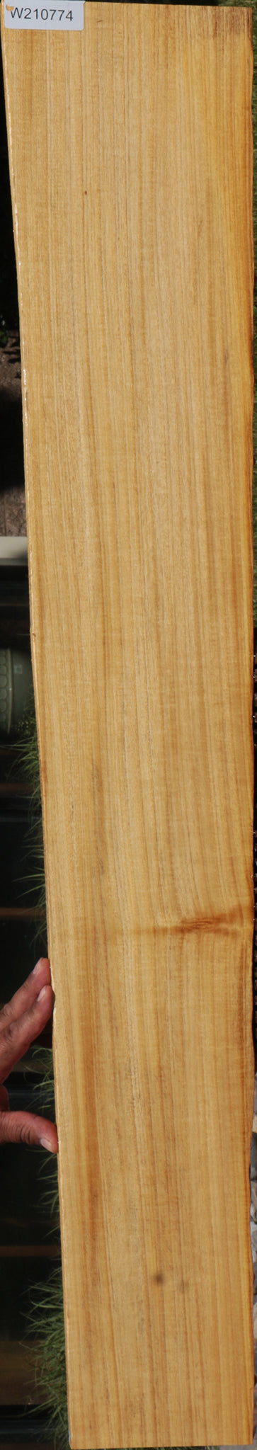 Extra Fancy Primavera Lumber