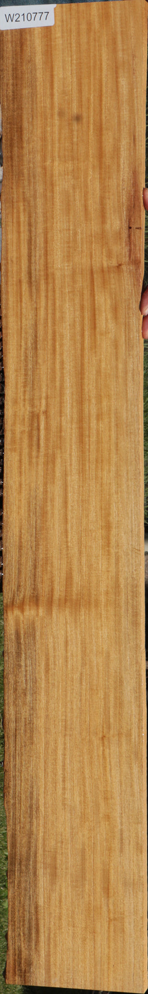 Extra Fancy Primavera Live Edge Lumber