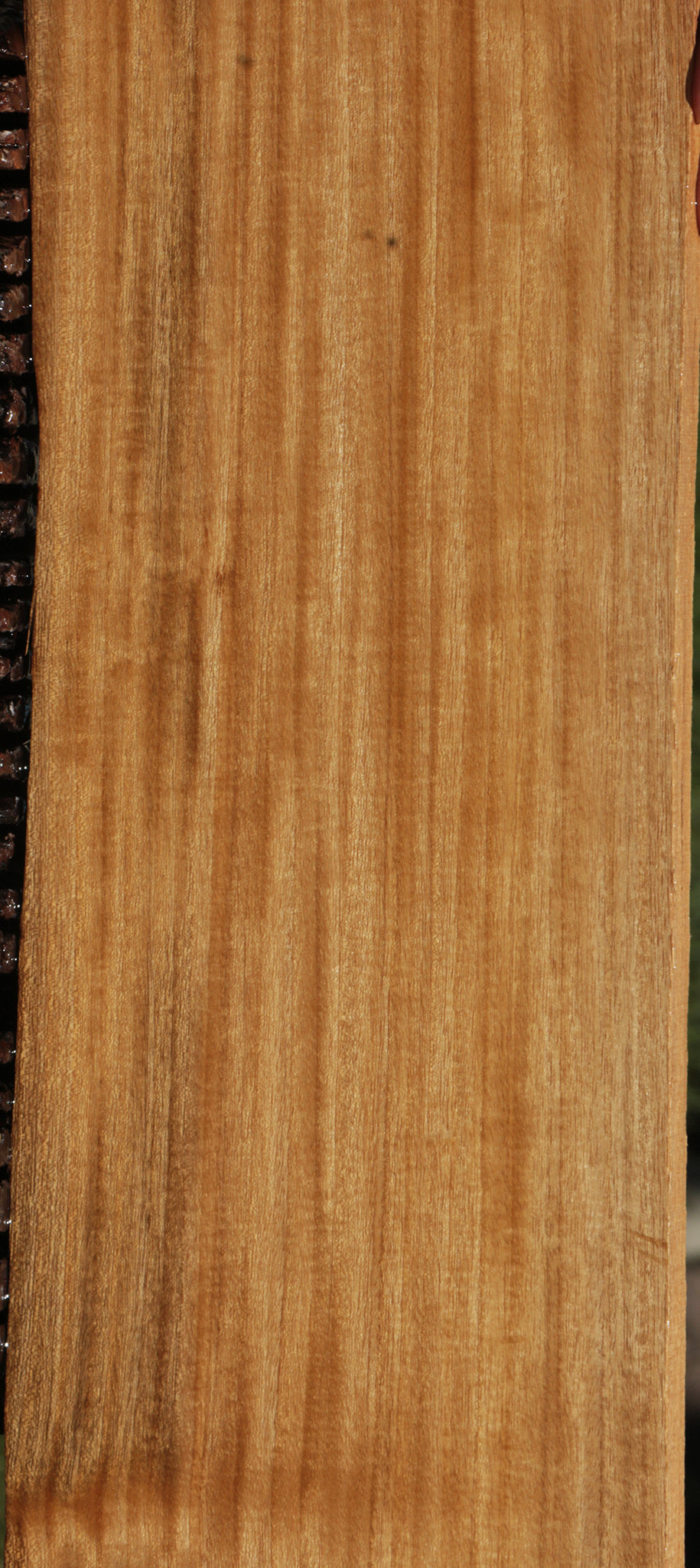 Extra Fancy Primavera Live Edge Lumber