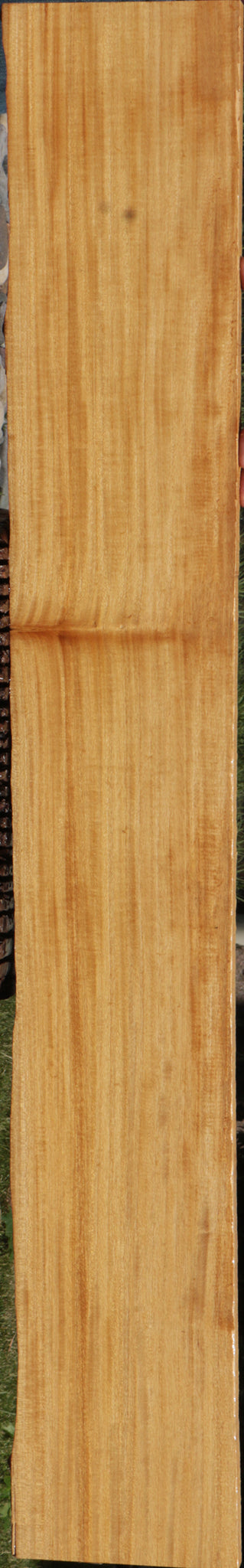 Extra Fancy Primavera Live Edge Lumber