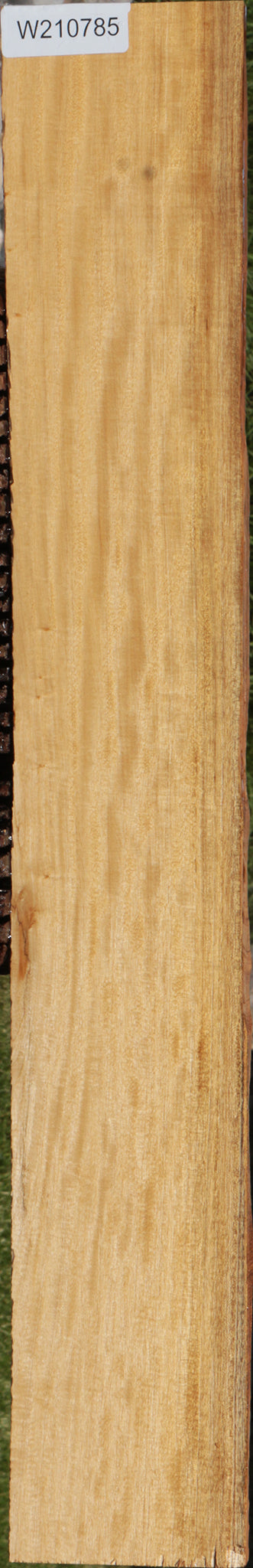 Extra Fancy Primavera Lumber