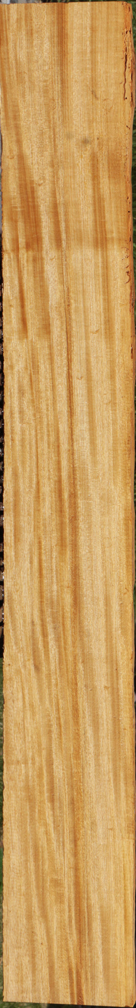Extra Fancy Primavera Lumber