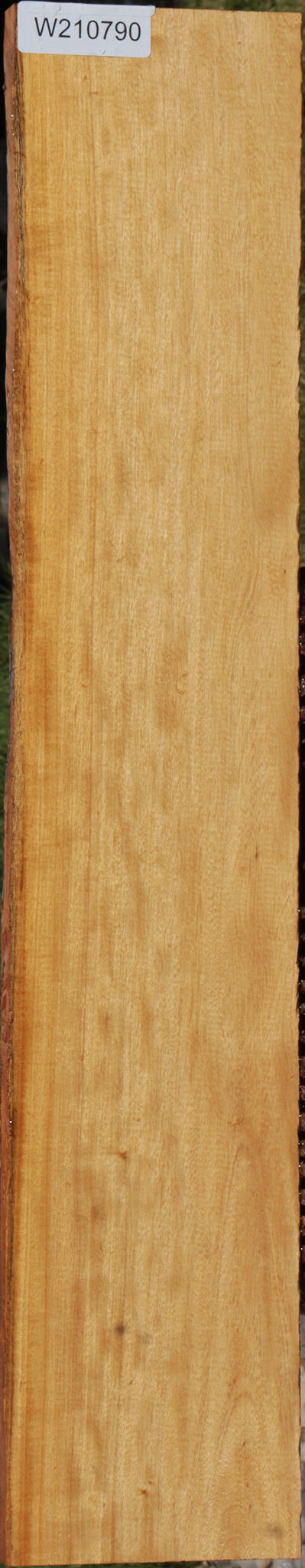 Extra Fancy Primavera Lumber