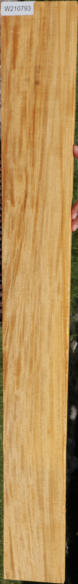 Figured Primavera Lumber