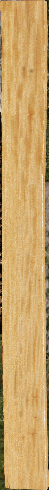 Extra Fancy Primavera Lumber