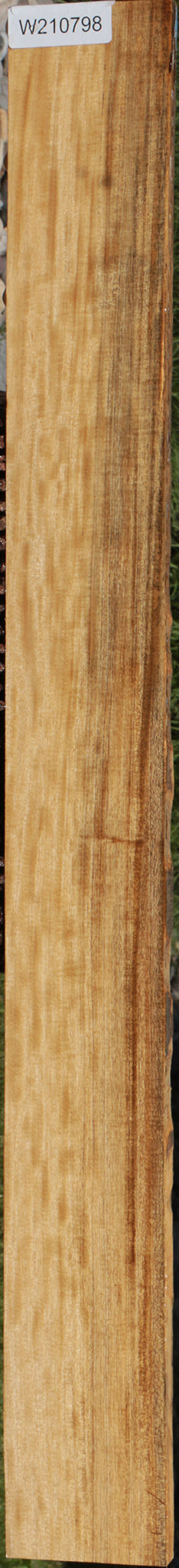 Extra Fancy Primavera Lumber