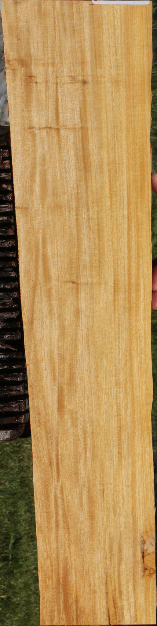 Primavera Micro Lumber