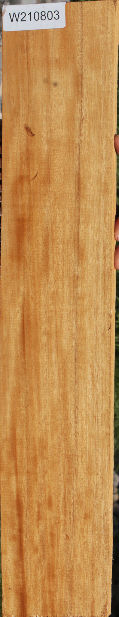 Figured Primavera Lumber