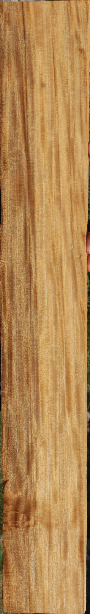 Extra Fancy Primavera Lumber