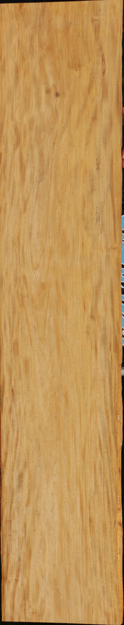 Figured Primavera Lumber