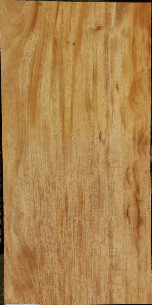 Primavera Micro Lumber