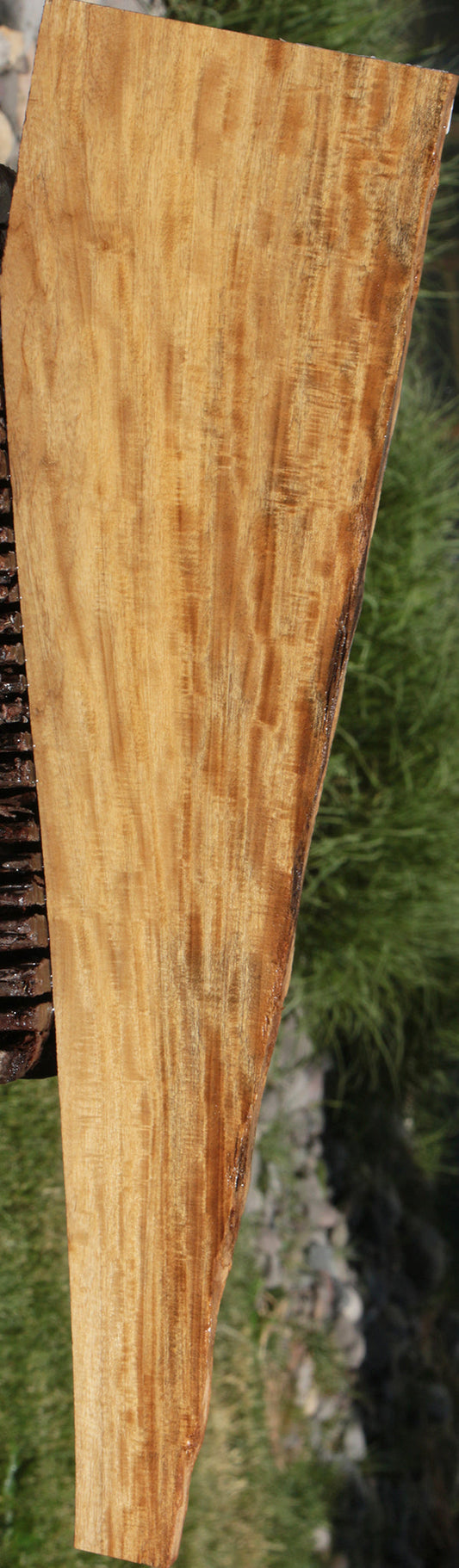 Extra Fancy Primavera Lumber