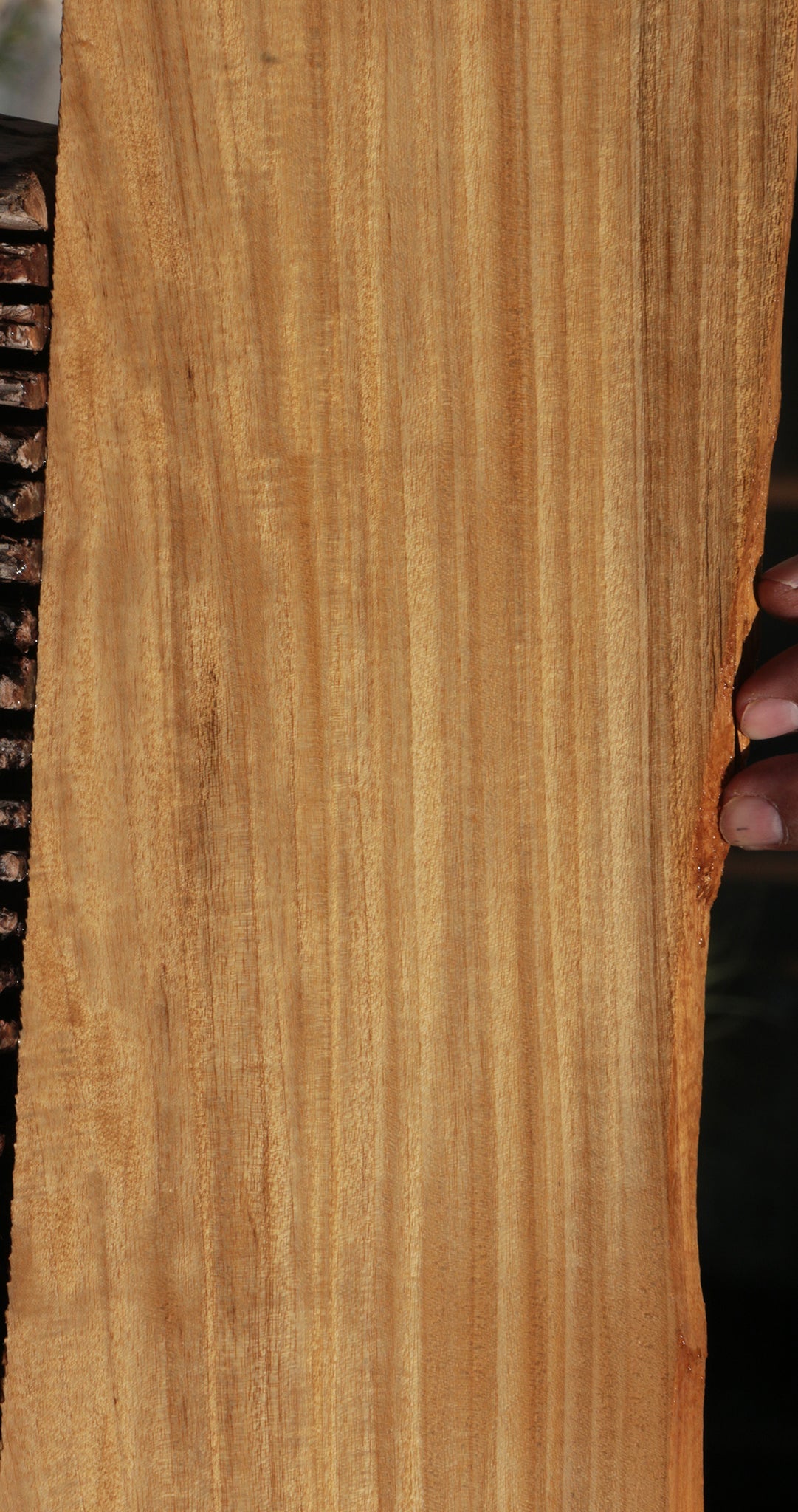 Extra Fancy Primavera Micro Lumber