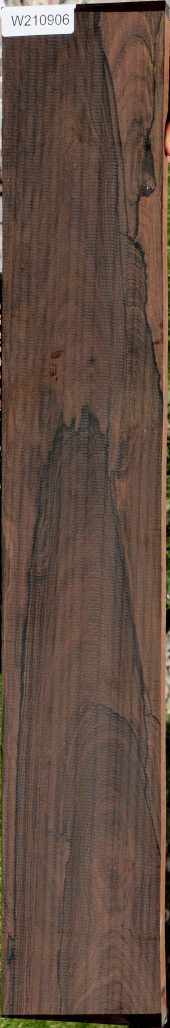 Exhibition Ziricote Lumber