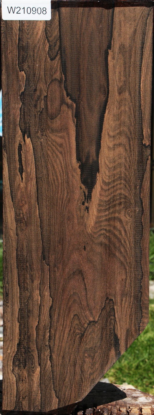 Exhibition Ziricote Instrument Lumber