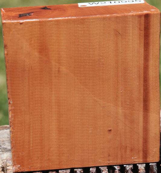 Swiss Pear Live Edge Bowl Blank