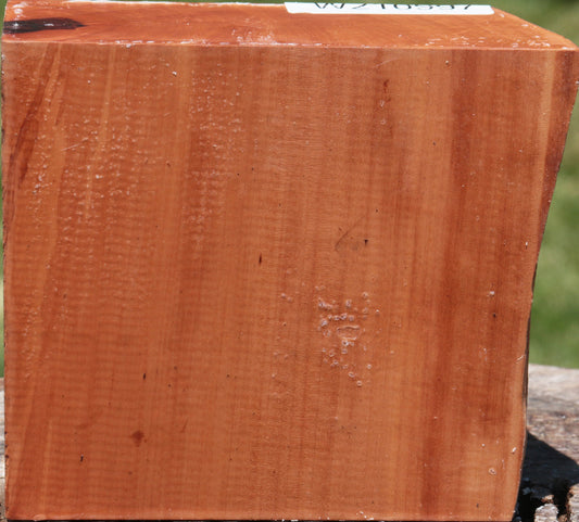 Swiss Pear Live Edge Bowl Blank