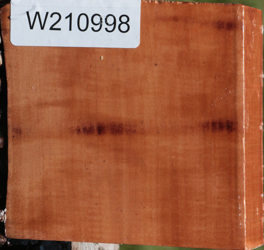 Extra Fancy Swiss Pear Live Edge Bowl Blank