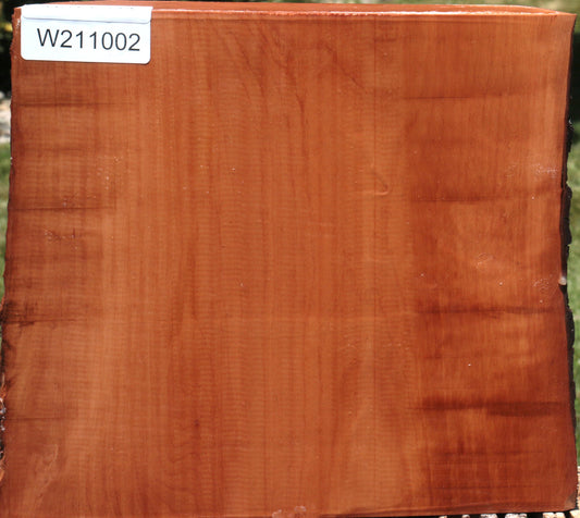 Swiss Pear Live Edge Bowl Blank