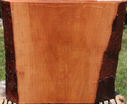 Swiss Pear Live Edge Bowl Blank