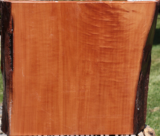 Figured Swiss Pear Live Edge Bowl Blank