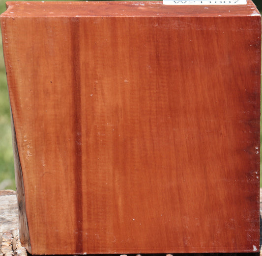 Swiss Pear Live Edge Bowl Blank