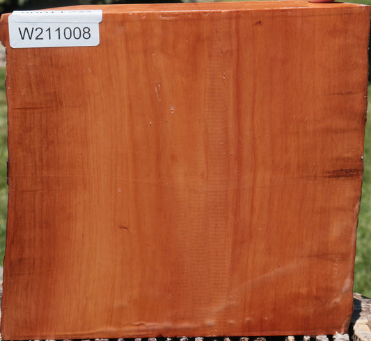 Swiss Pear Live Edge Bowl Blank