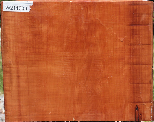 Swiss Pear Live Edge Bowl Blank