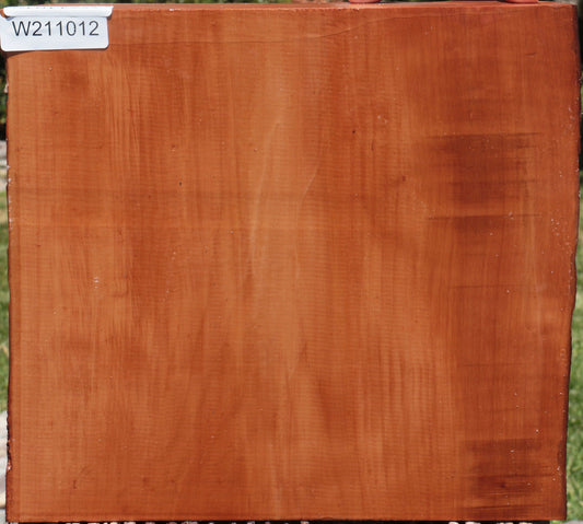 Swiss Pear Live Edge Bowl Blank