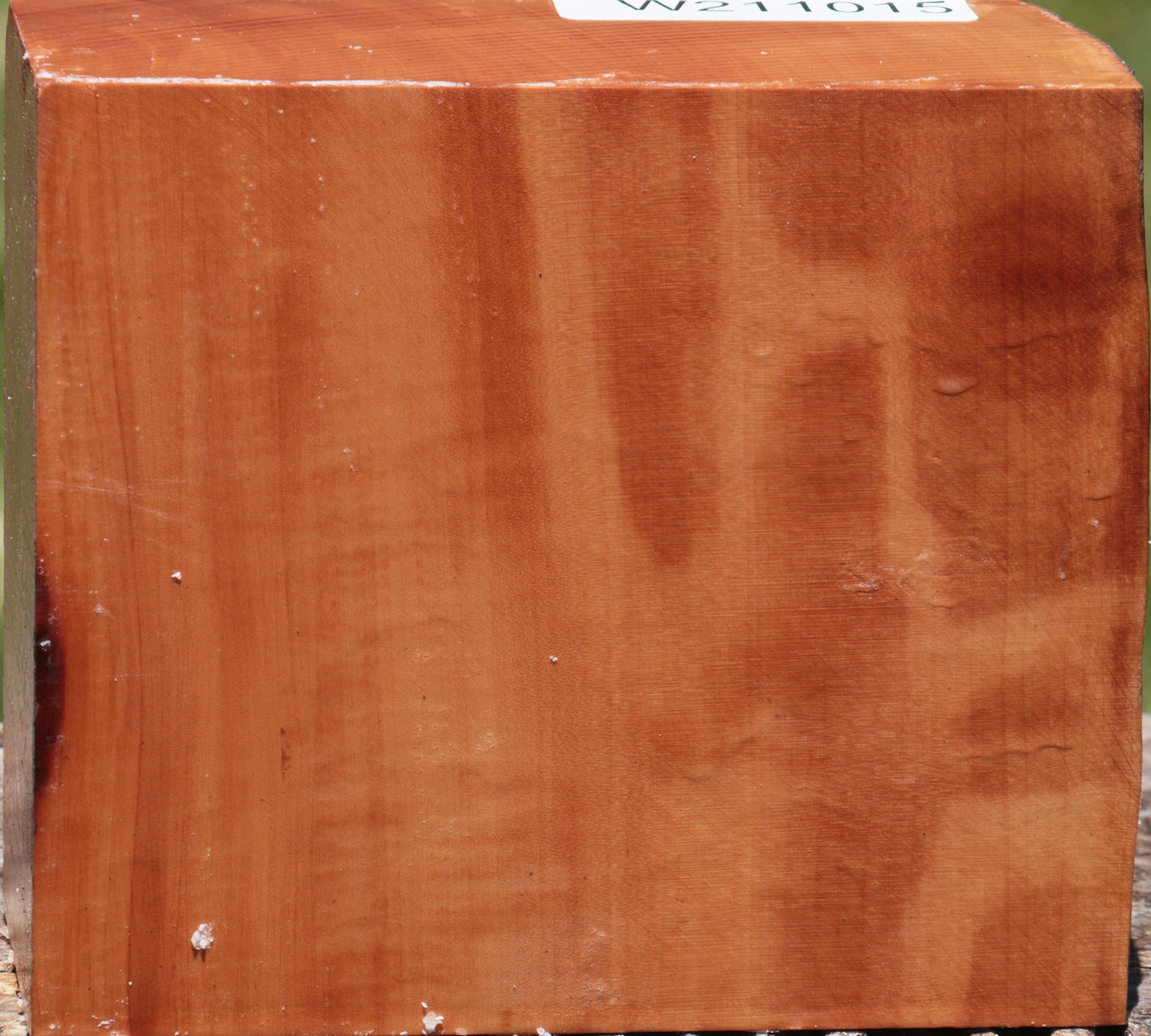 Figured Swiss Pear Live Edge Bowl Blank