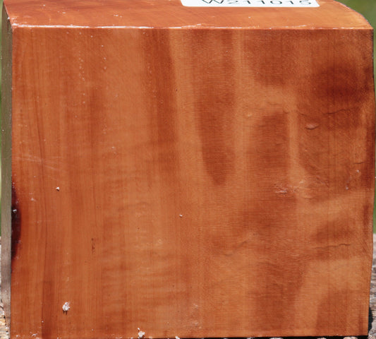 Figured Swiss Pear Live Edge Bowl Blank