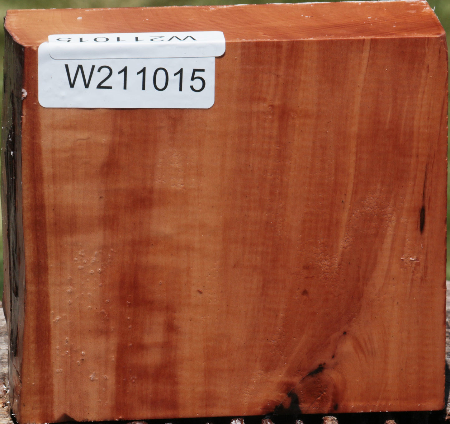 Figured Swiss Pear Live Edge Bowl Blank