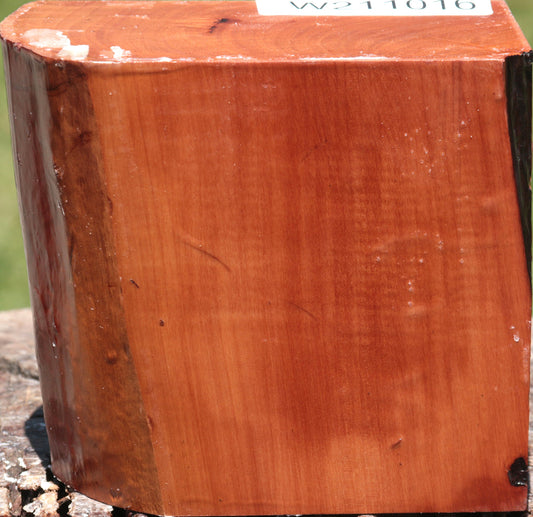 Swiss Pear Live Edge Bowl Blank