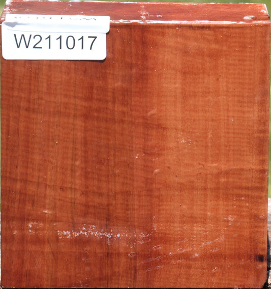 Swiss Pear Bowl Blank