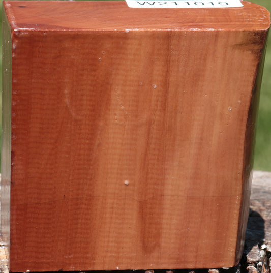 Swiss Pear Live Edge Bowl Blank