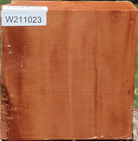 Swiss Pear Live Edge Bowl Blank